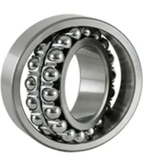 1319 K (ZKL)