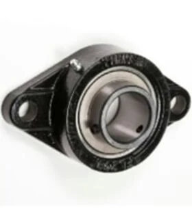 FYTB 40 UCFL 208 (TIM)